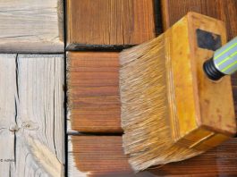 Comment empêcher les termites de pénétrer le bois de votre maison ou vos meubles ?