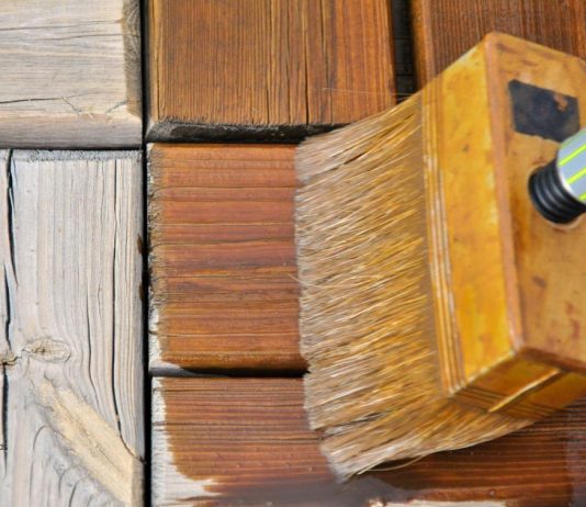 Comment empêcher les termites de pénétrer le bois de votre maison ou vos meubles ?