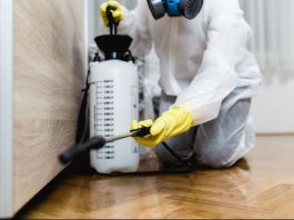 Pourquoi faire appel à une entreprise de dératisation à Nimes et dans le Gard