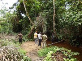 Quel est le parcours de Kevin Rivaton?