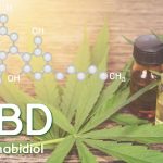Cbd oil, Cannabis of the formula CBD.