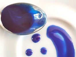 En savoir plus sur les rôles et les bienfaits de la phycocyanine