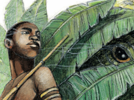 Le conte africain, qu’est-ce que c’est ?