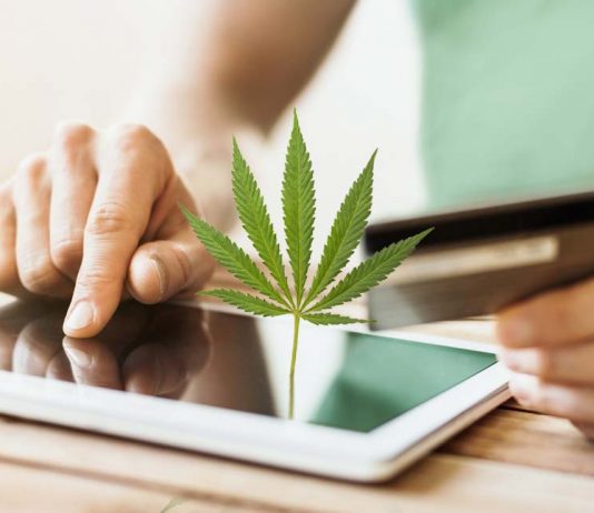 Comment trouver le meilleur CBD ?