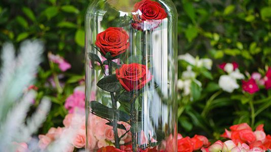 Quels sont les avantages de la fleur de bach ?