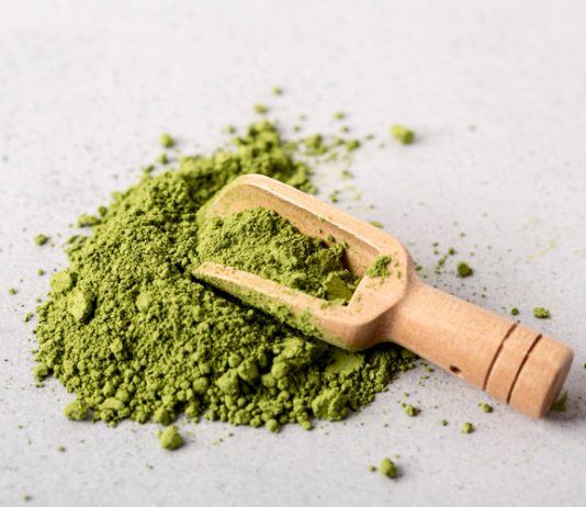 Les conseils pour bien préparer le thé vert en poudre