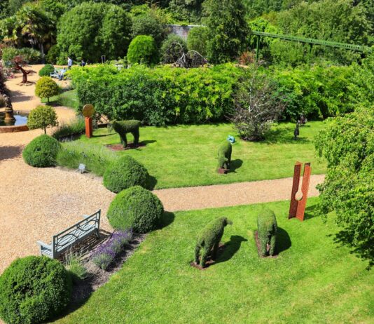 Comment un paysagiste peut aider à la gestion des mauvaises herbes ?