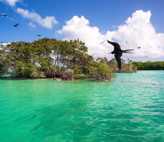 Sian Ka’an une immersion totale au cœur d’une nature préservée !