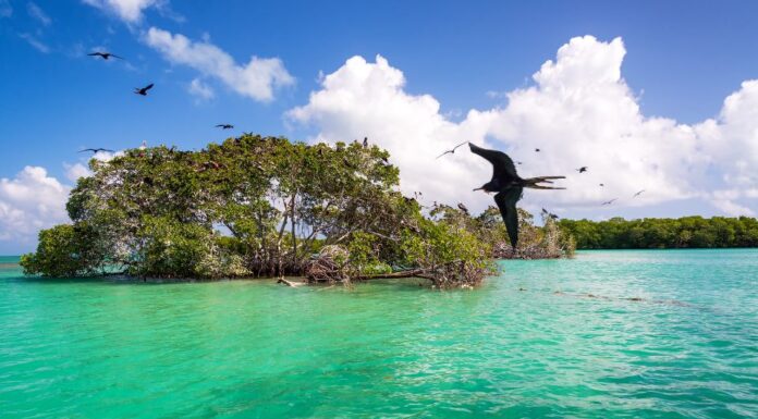 Sian Ka’an une immersion totale au cœur d’une nature préservée !